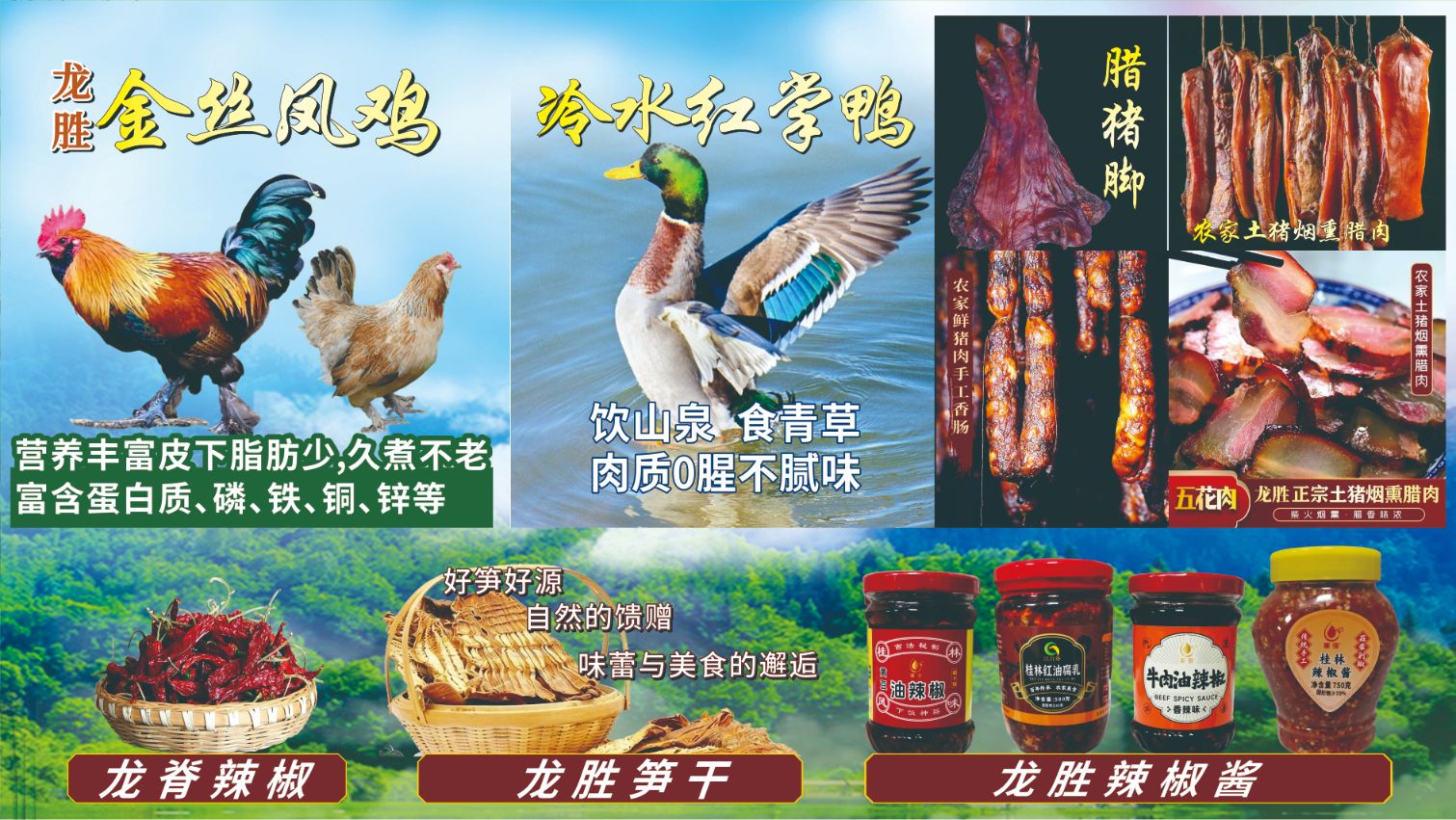 鑫养养小程序｜一口尝遍山野鲜，今日订，明日达！