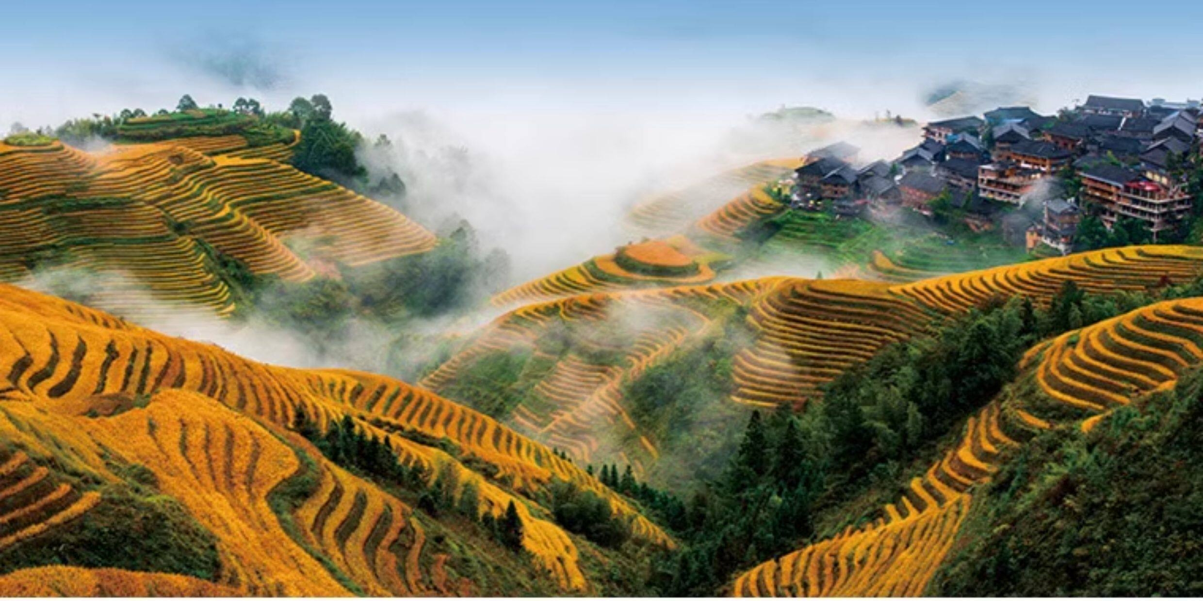 江月谷顶级土货专卖 | 龙胜大山馈赠：笋干&middot;龙脊辣椒&middot;黄豆油辣椒酱